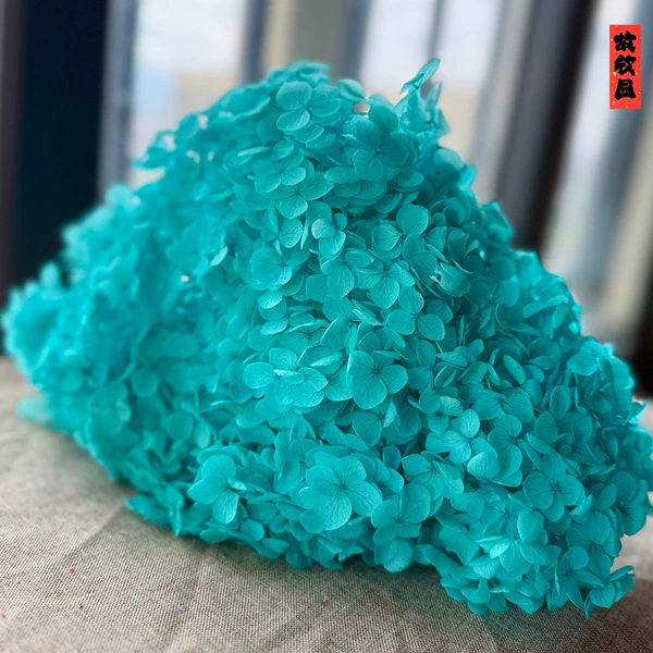 Sky blue/support