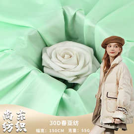 30D春亚纺涤纶布 秋冬棉服羽绒服轻薄面料 厂家直销