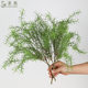 Simulated Asparagus high quality Hand Feel Matching Leaf Simulated Green Leaf Asparagus Fern Green Plant Mori Plant Design