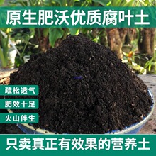 ��ֳ�����~������ͨ���͠I�B���B���N�˷Nֲ��͸ˮ͸����̿��