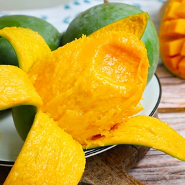 枇杷;柑桔;石榴