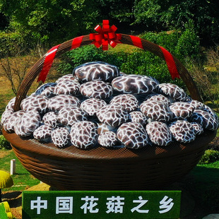 �������󶬹����� ʳ�þ��r�aƷ���a��؛��軨�����l