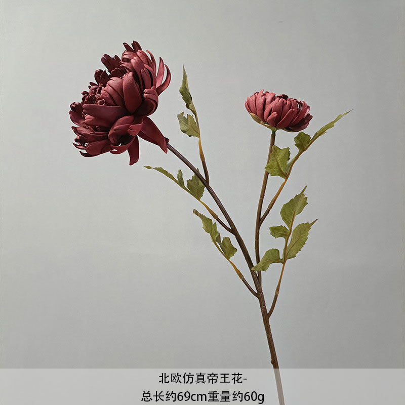 부르고뉴