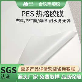 冲锋衣热熔胶膜服装布料无缝粘合帽檐门襟拉链PES双面热胶膜