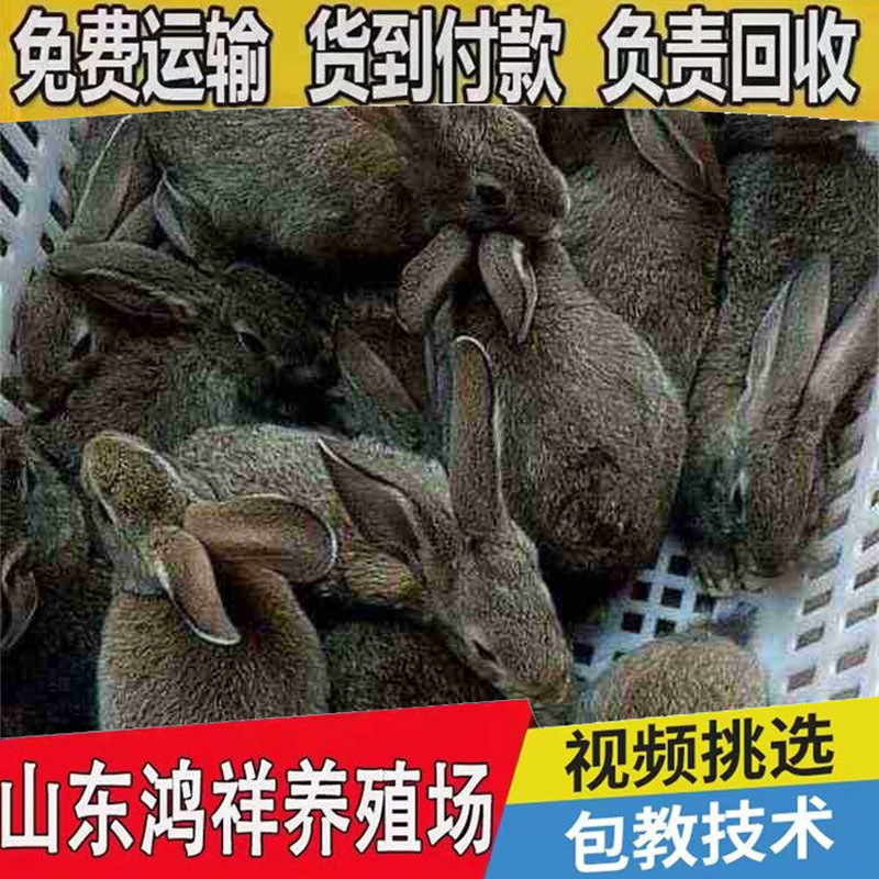 5fc2bcedab64034f14bcef7fb8c379