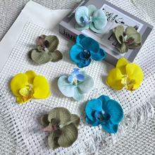 �����m���^���滨�l�A�^������������diy�������3D��ӡ�����m