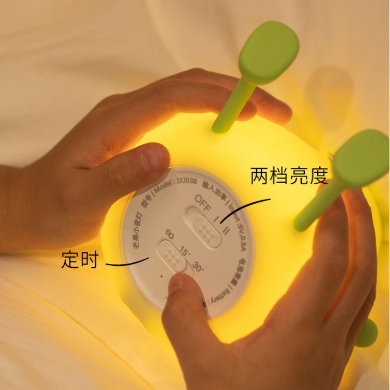 Night light for bedroom