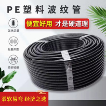 ϲyPAPPˮȼݼyܴܛPE늾|o׾