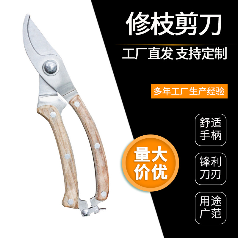 园林剪刀修枝剪摘菜神器果树园艺剪刀树枝剪稀果剪