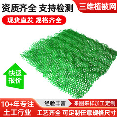 护坡加固三维植被网EM植草加筋hdpe复合土网绿色网边坡防护排水网