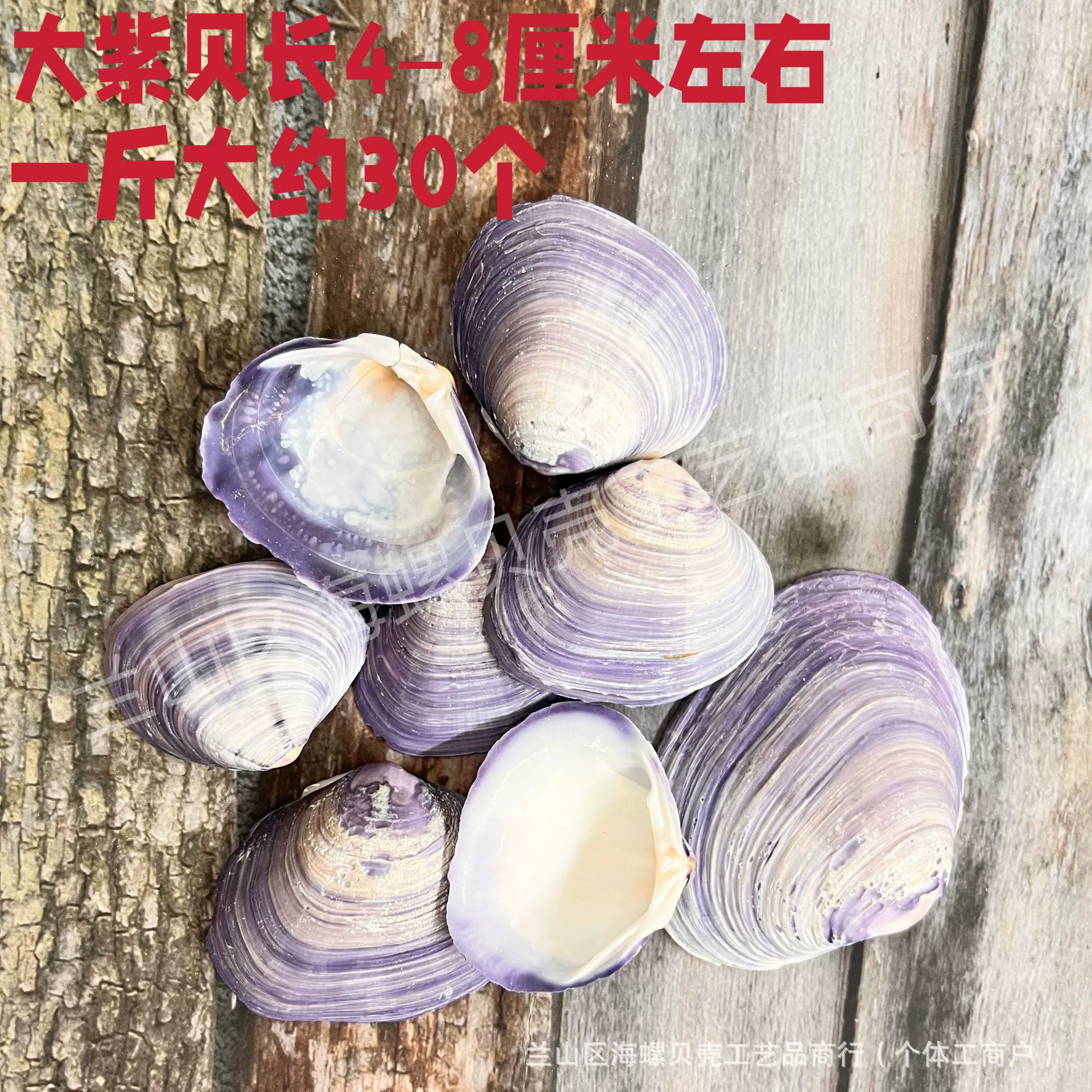 Shell Natural Shell Conch Stars Drifting Bottle Shell Crafts Wholesale Diy Handmade Shell Materials