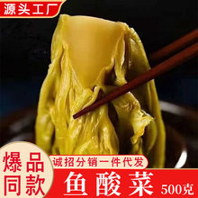正宗川味鱼酸菜酸菜鱼四川泡酸菜正宗大叶芥菜袋装500g包家用批发