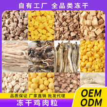 锡林浩特食品加工厂：传统与创新并存的艺术