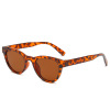 Retro brand sunglasses, 2021 collection, European style