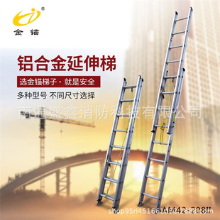 ���^�ݾ� �X�Ͻ�������AM42-208IIʮ���A�����ˆ΂�����ֱ�� �Ǹ�