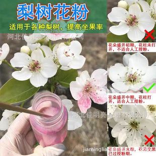 ��仨�� �ʹ�����ɽ�r�����������������ڷ�ͨ�ø߻��滨��