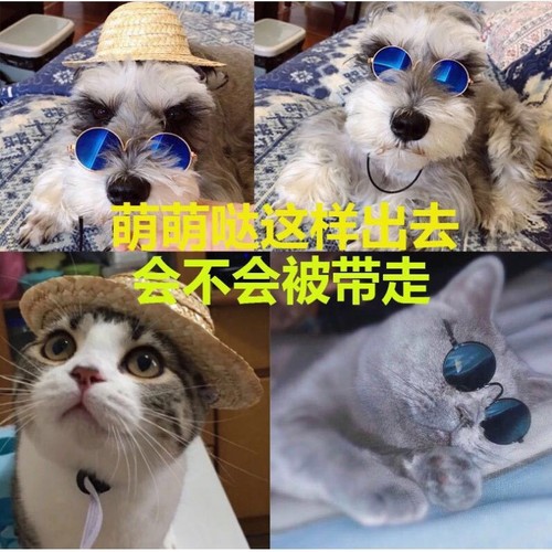 宠物眼镜猫咪墨镜宠用防紫外线眼镜潮流酷配饰防护眼镜