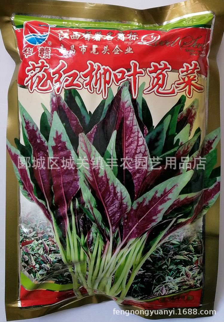 华赣 花红柳叶苋菜种子 柳叶型红苋菜种籽 500克装|ms