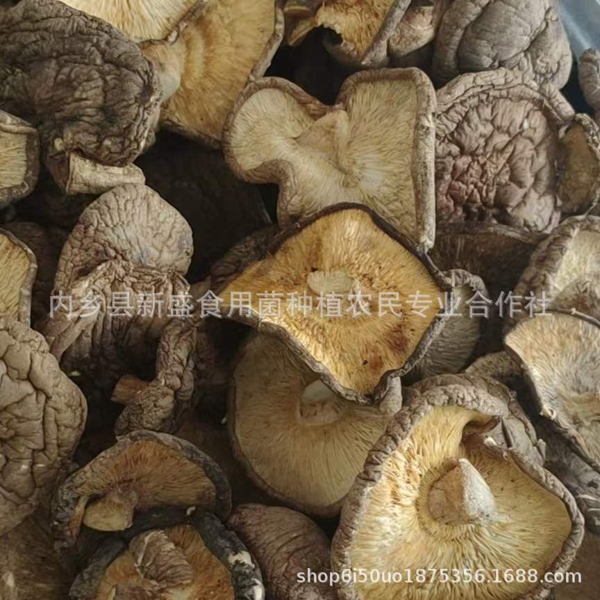 aab7db3a39296ceeb96e2133139539