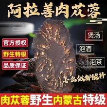 阿拉善野生肉苁蓉正品特级油苁蓉男性泡酒泡水整条切片秋冬软大芸