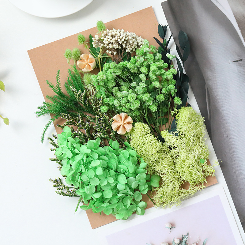 Flor seca flor eterna marco de fotos en relieve paquete de material flotante hecho a mano aromaterapia ventilador redondo actividad salón grupo edificio transfronterizo al por mayor