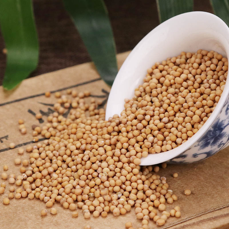 White Mustard Seed Bai Jie Zi 500g Dried Herbal Seeds for Tea Wine Infusion and Decoction Use quality and texture
