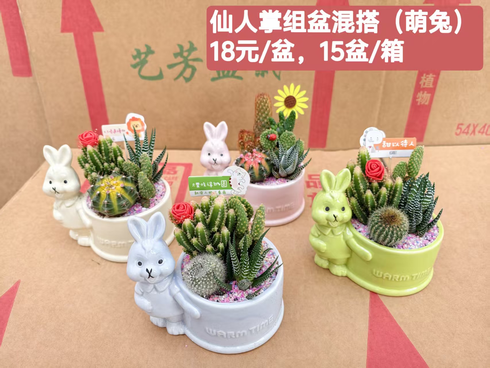 Cactus combinación de vidrio cerámico base de guangzhou venta directa factura boleto especial soporte de cotización de tres partes fábrica directa