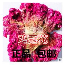 Ұɽ�u�ڻ� �t�u�ڻ���Ȼ����Ք����а�ɫ�u�ڻ�500�˰��]��