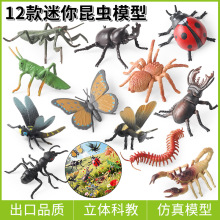 �羳���x��߄���ģ�ͷ�������۷�ư�x�������Λρϐ�����֩��