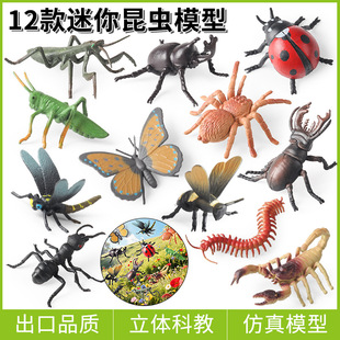 �羳���x��߄���ģ�ͷ�������۷�ư�x�������Λρϐ�����֩��