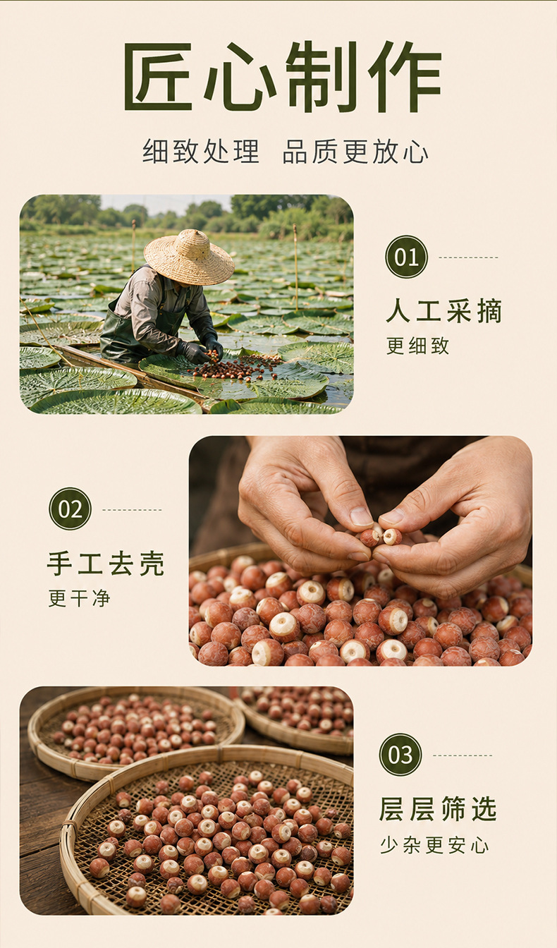 Dried Gorgon Fruit Qian Shi 200g Red Skin Euryale Seeds 12mm Premium Grade key features
