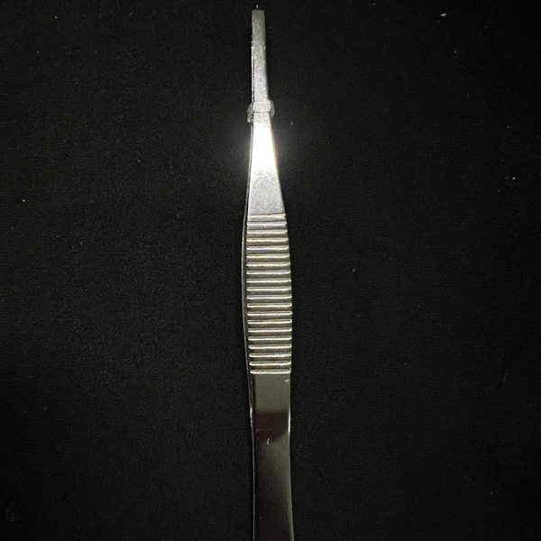Scalloped tweezers stainless steel