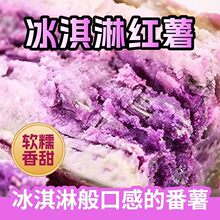 正宗冰淇淋薯一点红蜜薯新鲜农家自种红薯花心板栗薯