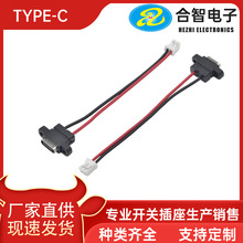 厂家供应防水TYPE-C 2P带耳两芯带线带端子简易PD快充防水母座