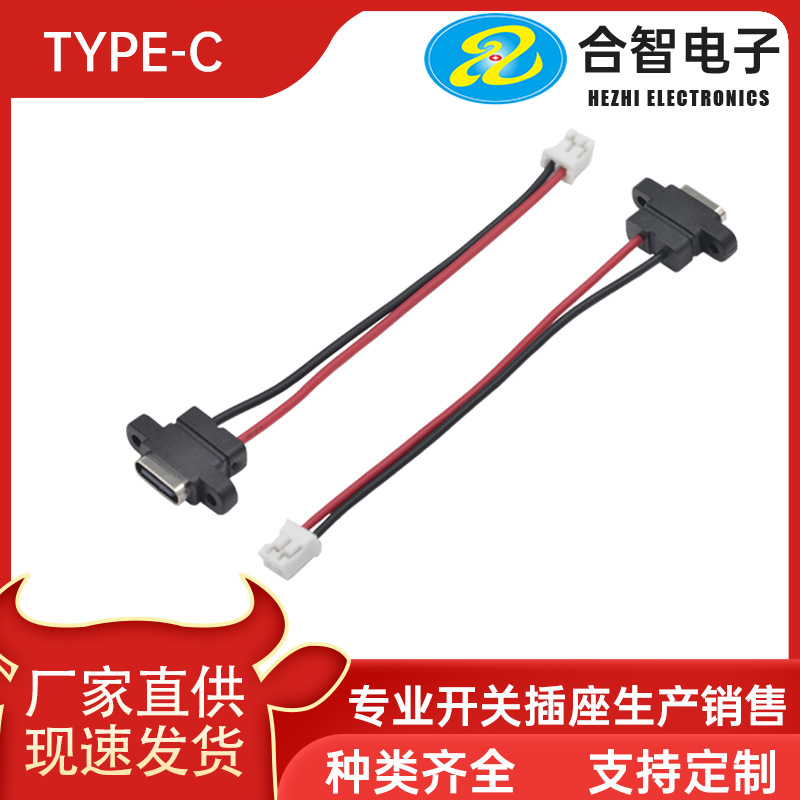 厂家供应防水TYPE-C 2P带耳两芯带线带端子简易PD快充防水母座