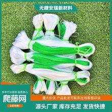 植物爬藤网 农用园艺网 丝瓜黄瓜网山药豆角网跨境爬网蔬菜种植网