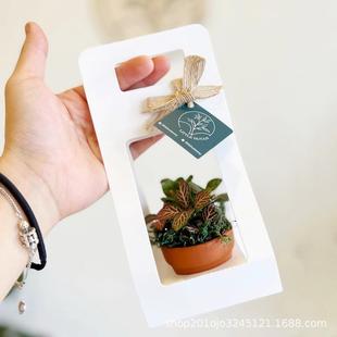 ĸ�H���r�����b�����Ứ�ж������Ժл�ˇɳ�����оGֲ���ۯB��