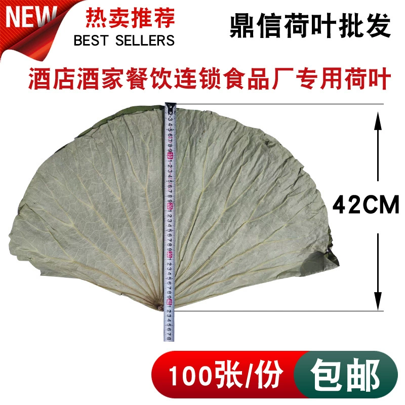 Лист лотоса озера Тайбай весь большой высушенный 26-42 ㎝ использован для цыпленка листьев лотоса, цыпленка нищего, цыпленка клейкого риса, с большим количеством преференциального режима.