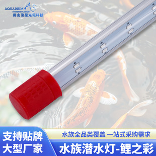 LED�~�ן�����ɫ����t���~��ˮ��ˮ�����G���W�^�~ˮ����������