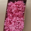 Dark pink wood hydrangeas 90-100 grams per box