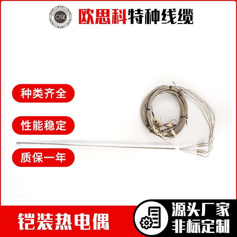 厂家直销各规格热电偶K型耐高温铠装热电偶带插头测温头热电偶