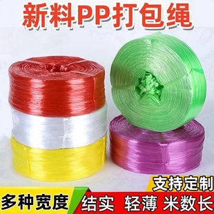 �Ź������ϴ���K�ӿ��f���b������������K����pp�����K˺��Ĥ