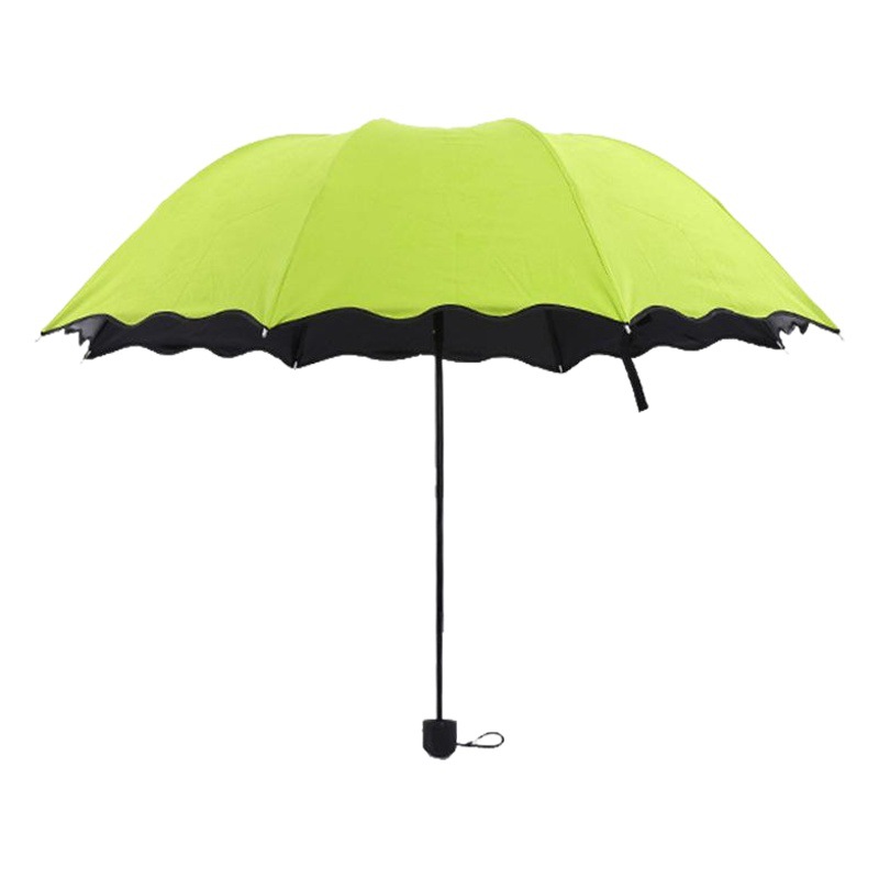 70% off Foldable Vinyl Umbrellas That Bloom When Exposed to Water, Promotional Umbrellas That Can Be Customized with Logo, Uv Protection Umbrellas, Wholesale in Stock
