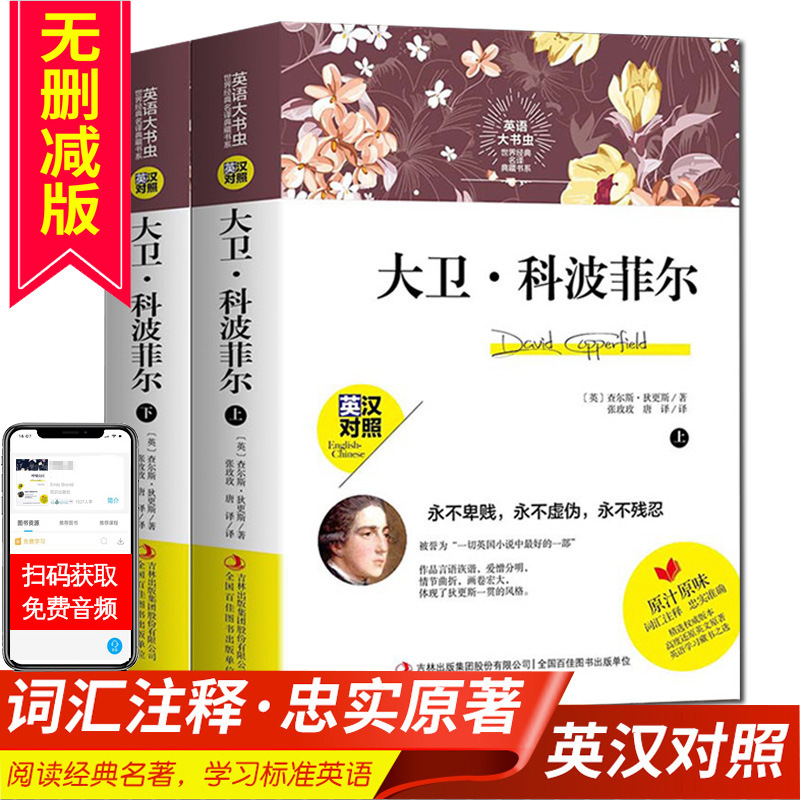正版英语大书虫大卫.科波菲尔 英汉对照世界文学名著小说 初中生