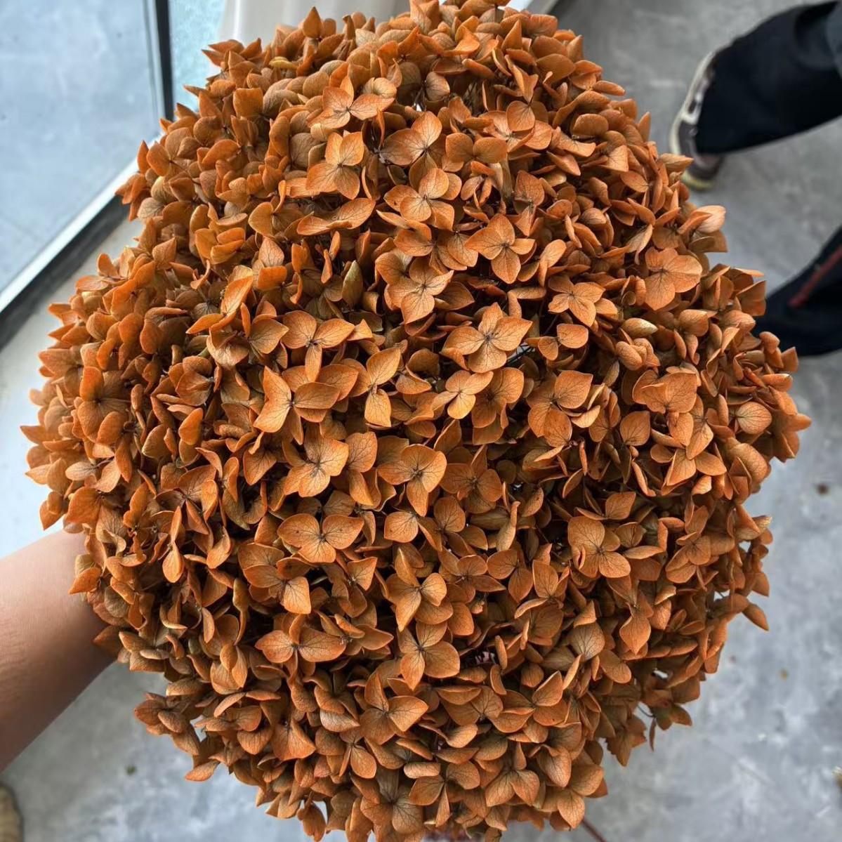 màu cam