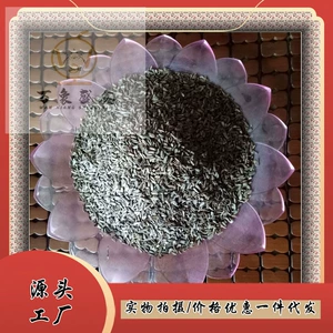 [牛蒡种籽  甘肃 陇南    安化大力子种籽   量大从优    产地批发]