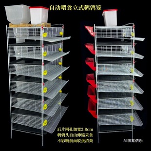 �g���\�p���\�Ӹ�25cm�Ӹߴ���g�B�\��ʽ���Ԅ���S�g���a���\��