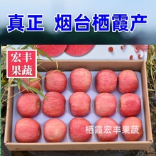 23秋新果棲霞紅富士蘋果水果禮盒裝脆甜正宗山東煙台新鮮當季好吃