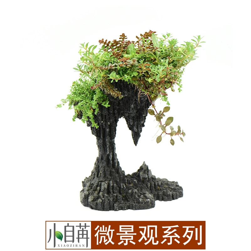 Микро-ландшафтный пакет Настоящая водная трава Моделирование камня Разнообразие посадки Смешанный Туо Висячий сад Гора Любовь Слитный зеленый Дракон Камень