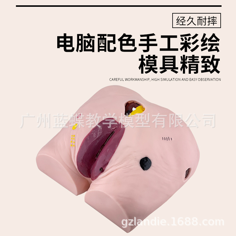 �촯ѹ������ģ�� �߼��������촯ѹ������ģ�� ҽѧ�ý�ѧģ��